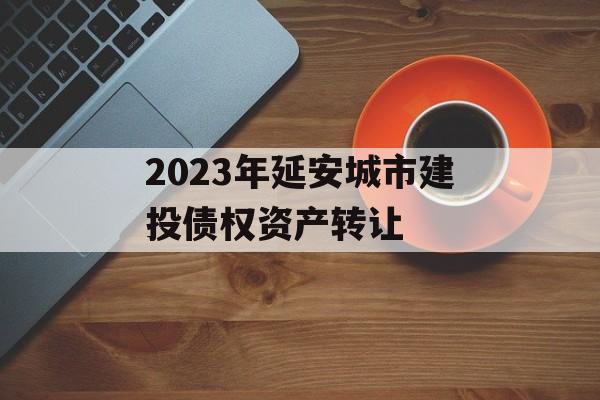 2023年延安城市建投债权资产转让