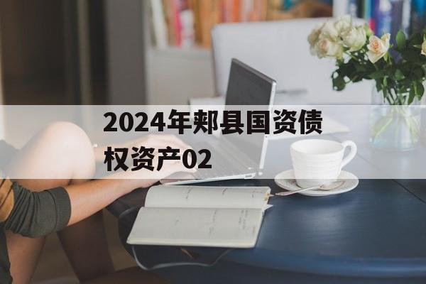 2024年郏县国资债权资产02