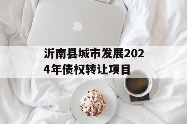 沂南县城市发展2024年债权转让项目