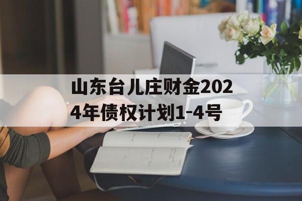 山东台儿庄财金2024年债权计划1-4号