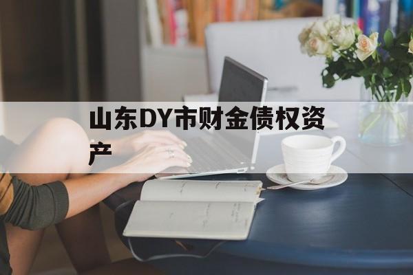 山东DY市财金债权资产