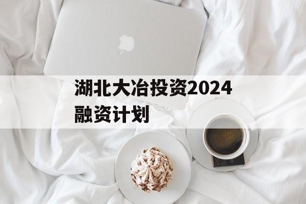 湖北大冶投资2024融资计划