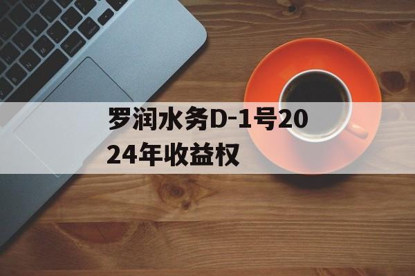 罗润水务D-1号2024年收益权