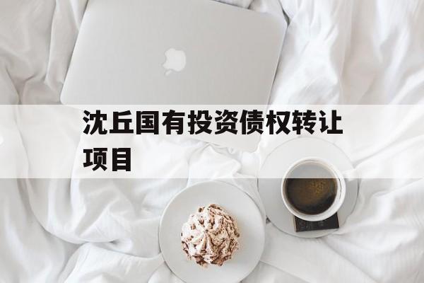 沈丘国有投资债权转让项目