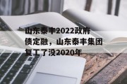 山东泰丰2022政府债定融，山东泰丰集团复工了没2020年