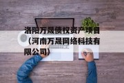 洛阳万晟债权资产项目（河南万晟网络科技有限公司）